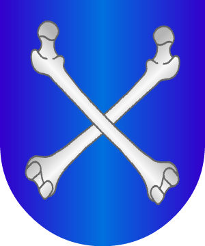 ESCUDO PRECEDENTE